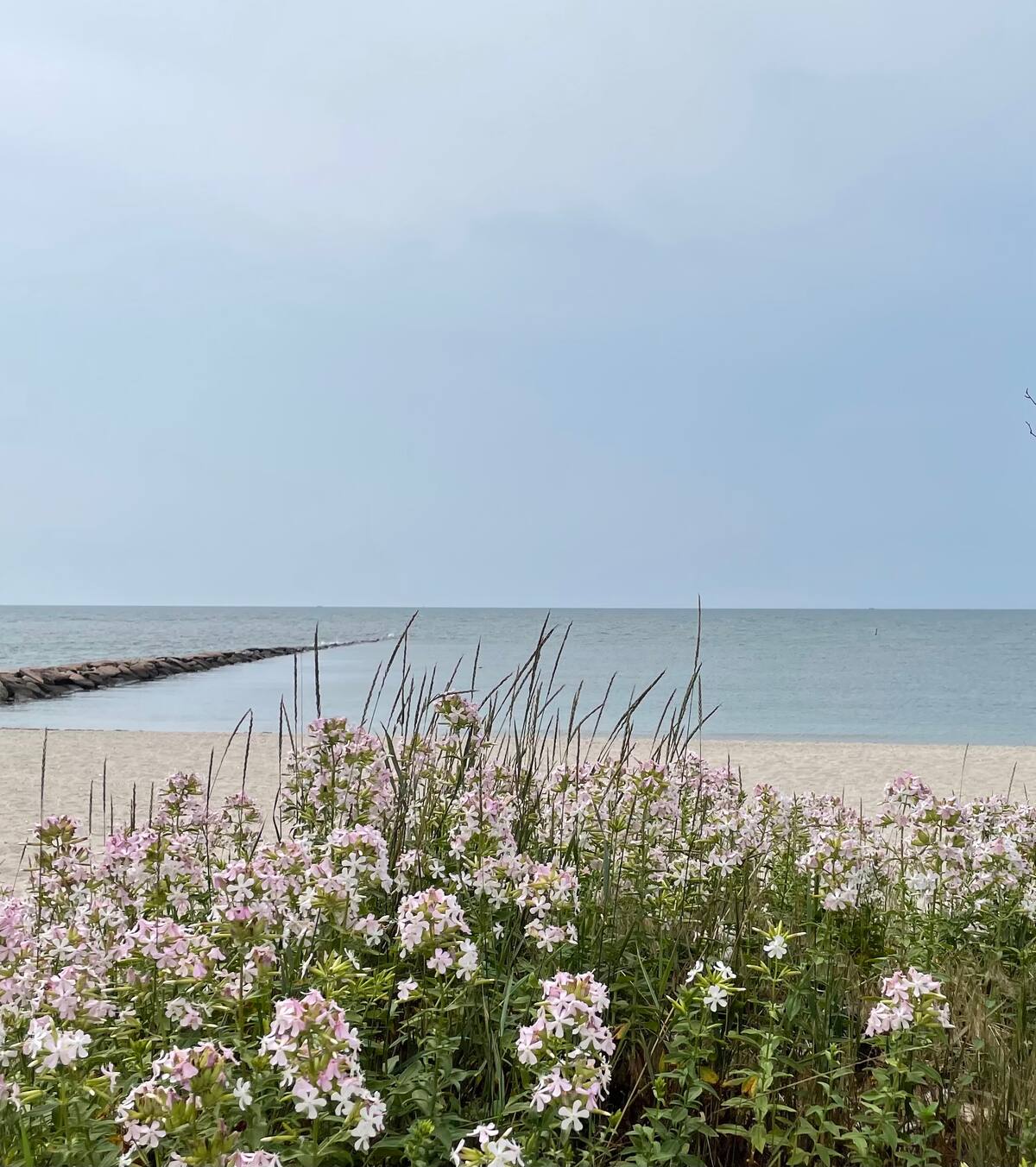 Nearby Compo Beach in Westport